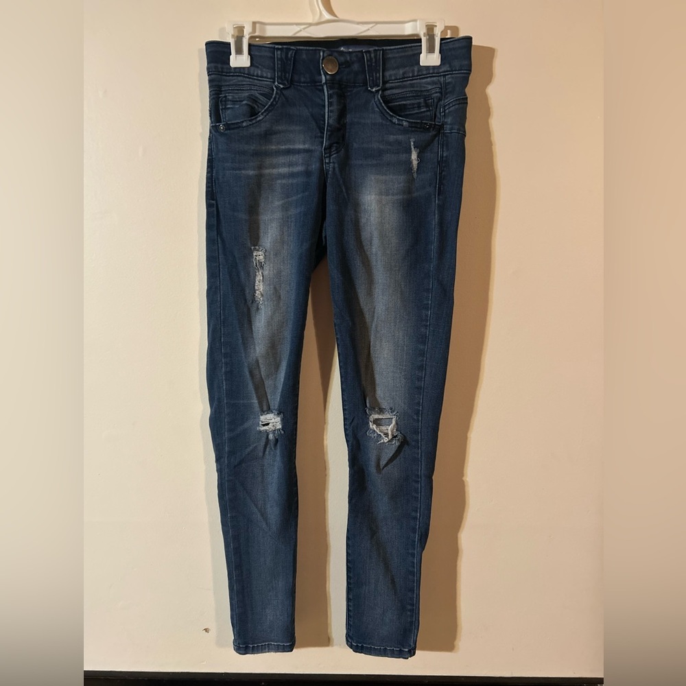 Democracy ABsolution Skinny Jeans